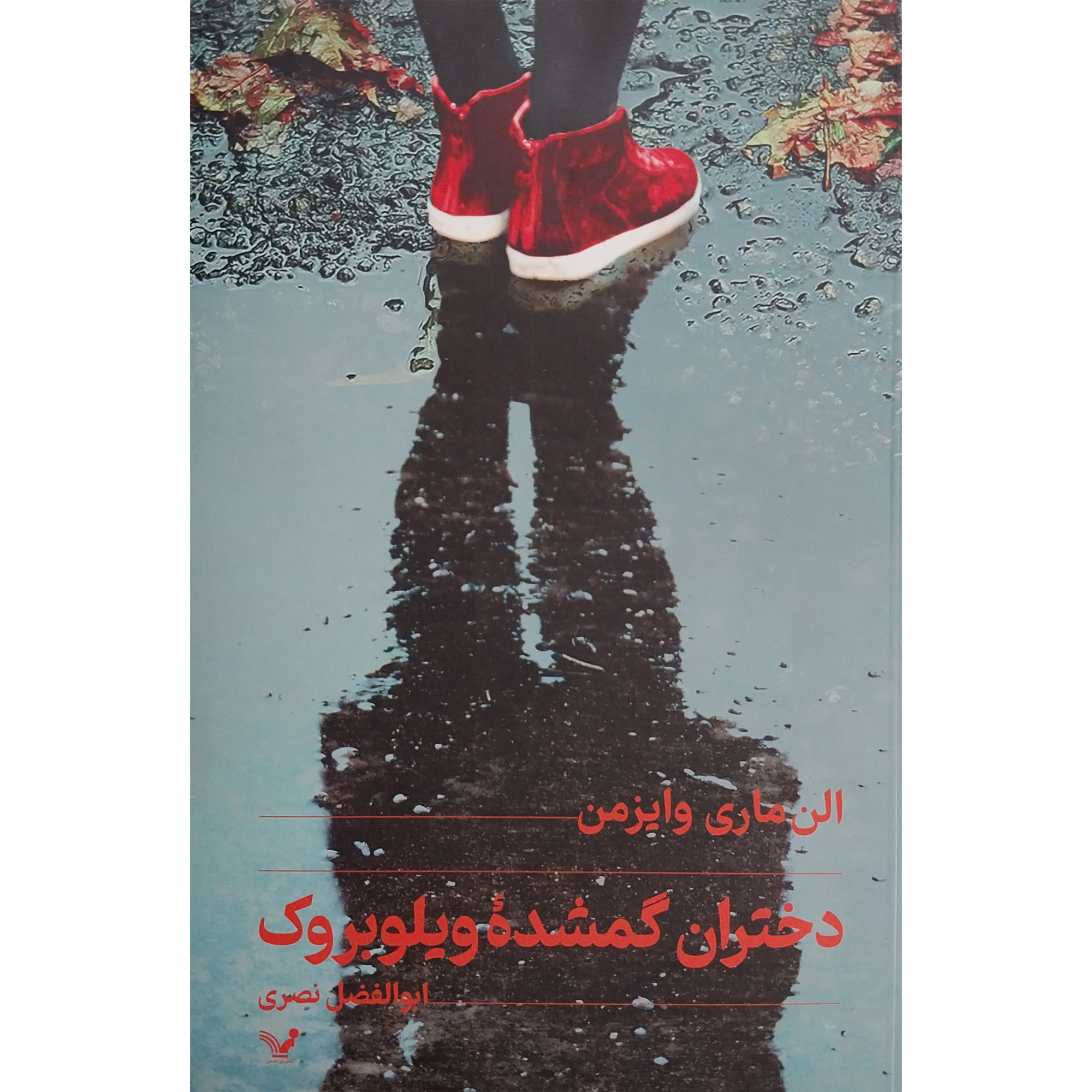 The Lost Girls of Willowbrook Novel by Ellen Marie Wiseman (Farsi)