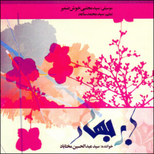 Abr-e Bahar Music Album by Abdul Hossein Mokhtabad