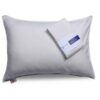 Antibacterial Pillowcase with Chic & Comfort