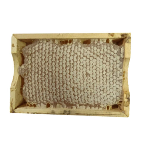 Fresh Iranian Honey with Natural Beeswax, Pure Floral Honey with Beeswax, 2900g