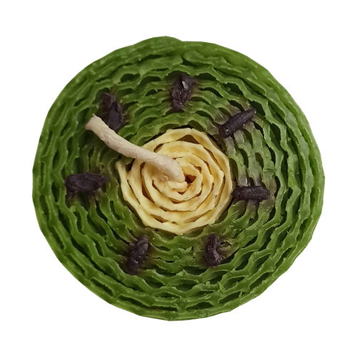Natural Beeswax Kiwi Figural Candle – Fruit-Shaped Candle for Home Decor & Gifting