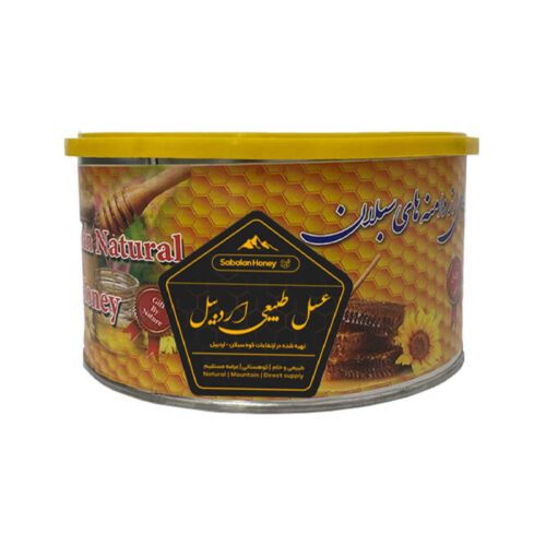 Natural Iranian Honey with Pure Beeswax, Wildflower Honey with Natural Honeycomb Elements, 1000g