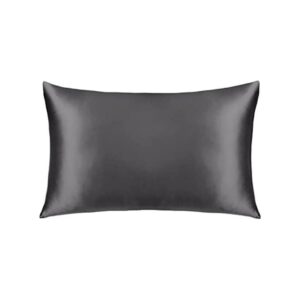 Silken Dreams Pillowcase with Standard Sized