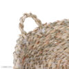 Palm Leaf Basket Handwoven with Handle – Perfect for Home Organization - Set of 3