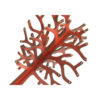 Novelty Wooden Jewelry Holder and Organizer with Tree Design