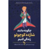 How to Live Like the Little Prince Book by Stephane Garnier (Farsi)