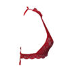 Lace Bra and Panty Set - in Bold Red Lace with Halter Neck