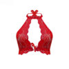 Lace Bra and Panty Set - in Bold Red Lace with Halter Neck
