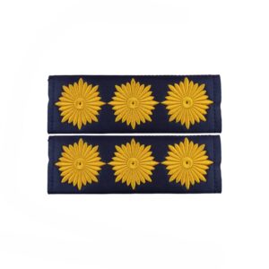 Military Insignia – A Pair of Full Colonel Rank Emblems Adhesive