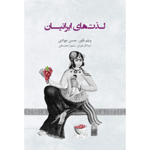 Iran History Book - Persian Pleasures by Willem Floor (Farsi)