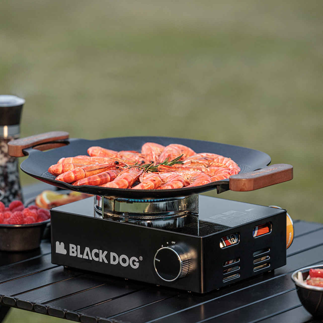 Portable Camping Stove – Durable and Efficient