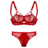 Red Lace Bra and Panty Set - Bold and Beautiful - Romantic Lingerie