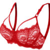 Red Lace Bra and Panty Set - Bold and Beautiful - Romantic Lingerie