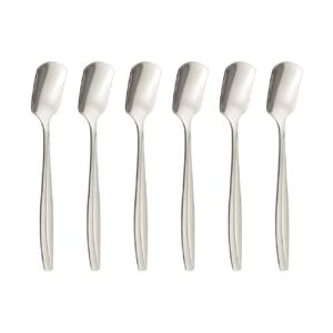 Ice Cream Spoon Set of 6 – to Transform Every Scoop into a Sweet Adventure