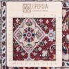 Hand-Knotted Persian Birjand Riz Mahi Rug (Mahi Medallion) - Red Silk & Wool
