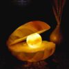 Persian Salt Rock Lamp for Natural Wellness – Perfect Gift for Stress Relief with Shel Design