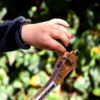 Expert Persian Setar – Handcrafted by Iransaz, Model Aram (Professional)