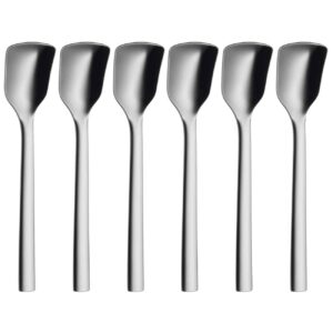 Steel Ice Cream Spoon – for Everyday Use and Special Moments (Pack of 6)