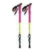 Hiking Pole - Best Choices for Every Budget Support, Safety & Comfort Pack of 2
