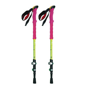 Hiking Pole – Best Choices for Every Budget Support, Safety & Comfort Pack of 2