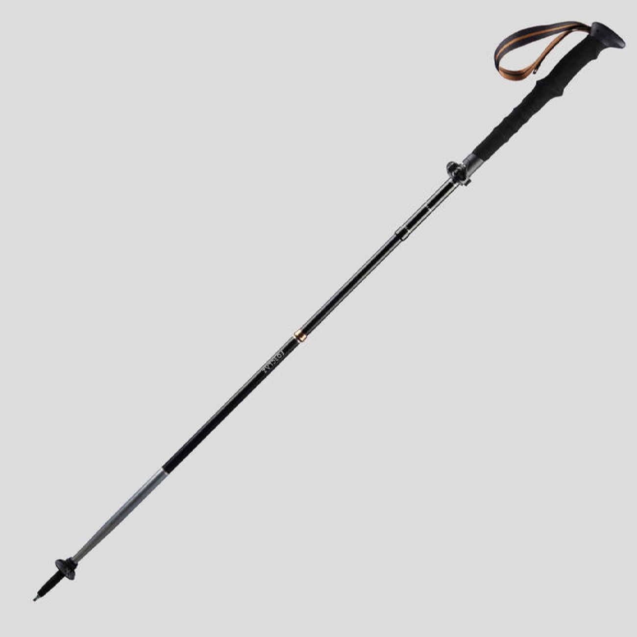 Hiking Pole – Best Choices for Every Budget in Turquoise
