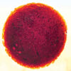 Lavashak - Persian Homemade Sour Plum Fruit Leather - 250 gram (x4)