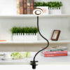 Minimalist Adjustable Metal Desk Lamp – Versatile Task Lighting