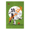 Soccernomics Book by Simon Kuper (Farsi)