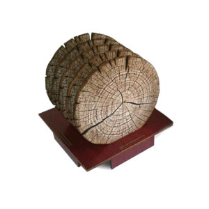 Tree Trunk Wooden Coasters with Holder 6-Pack – Rustic Round Design