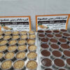 Iranian Chocolate Peanut Butter – Healthy, Delicious & Nutritious 250 gr (2x)