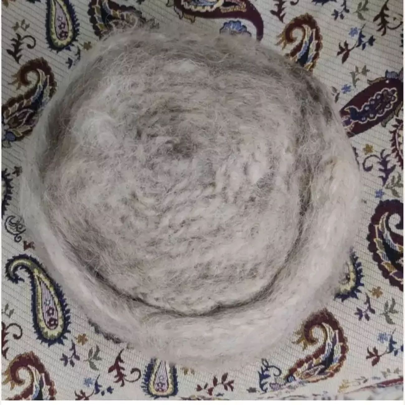 Iranian Dervish Hat – 100% Wool for Sufi Enthusiasts Handmade White Color