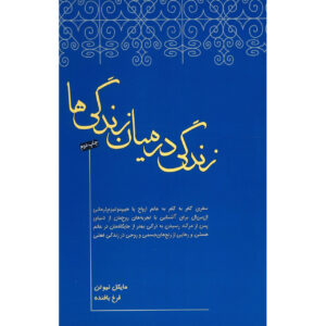 Life Between Lives Book by Michael Newton (Farsi)