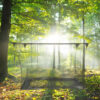 Portable Mosquito Net for Outdoor - Keep Bugs Away While Camping & Traveling