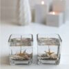 Sea Breeze Glass Jar Candle Set of 2 – Handcrafted & Ocean-Inspired