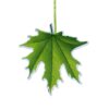 Autumn Leaf Design Decorative Hanging Ornaments, Set of 6