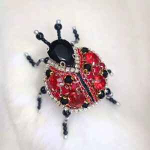 Hand Embroidered Brooch – Jewel Ladybug