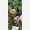 Scarf for Women - Scarf with Arm Cover Trimmed Edges Design