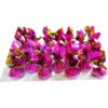 Shoniz Flag Hazelnut Filling Milky Chocolate - 400g