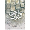 Tehran's beach by Majid Gheisari (Farsi)