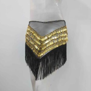 Coin Belly Dance Hip Scarf – Suitable for Belly Dance Performances II
