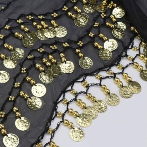 Coin Belly Dance Hip Scarf – Suitable for Training and Shows