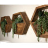 Hexagon Wall-Mounted Cactus Planter - Wooden Material (1)