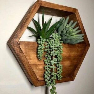 Hexagon Wall-Mounted Cactus Planter – Wooden Material (1Pc)