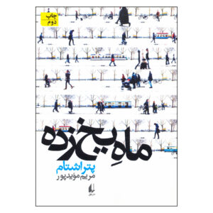 Seerücken by Peter Stamm (Farsi)