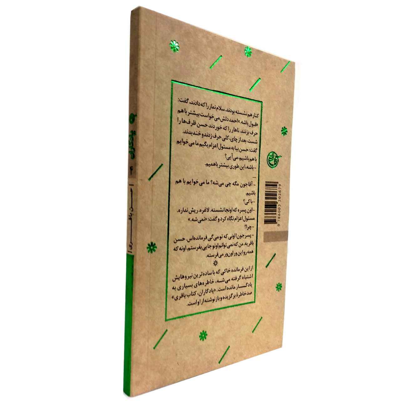 Hassan Bagheri Biography by Farzaneh Mardi
