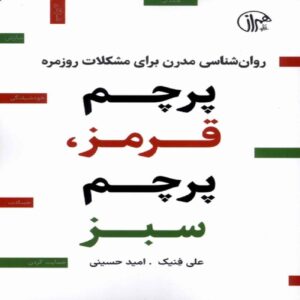 Red Flag, Green Flag Book by Ali Fanik