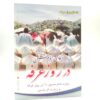 The Supplication of Imam Hussain on the Day of Arafah & Ziyarat Aal Yaseen Book