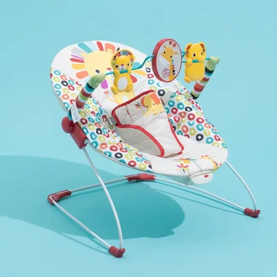 Baby Bouncers & Rockers