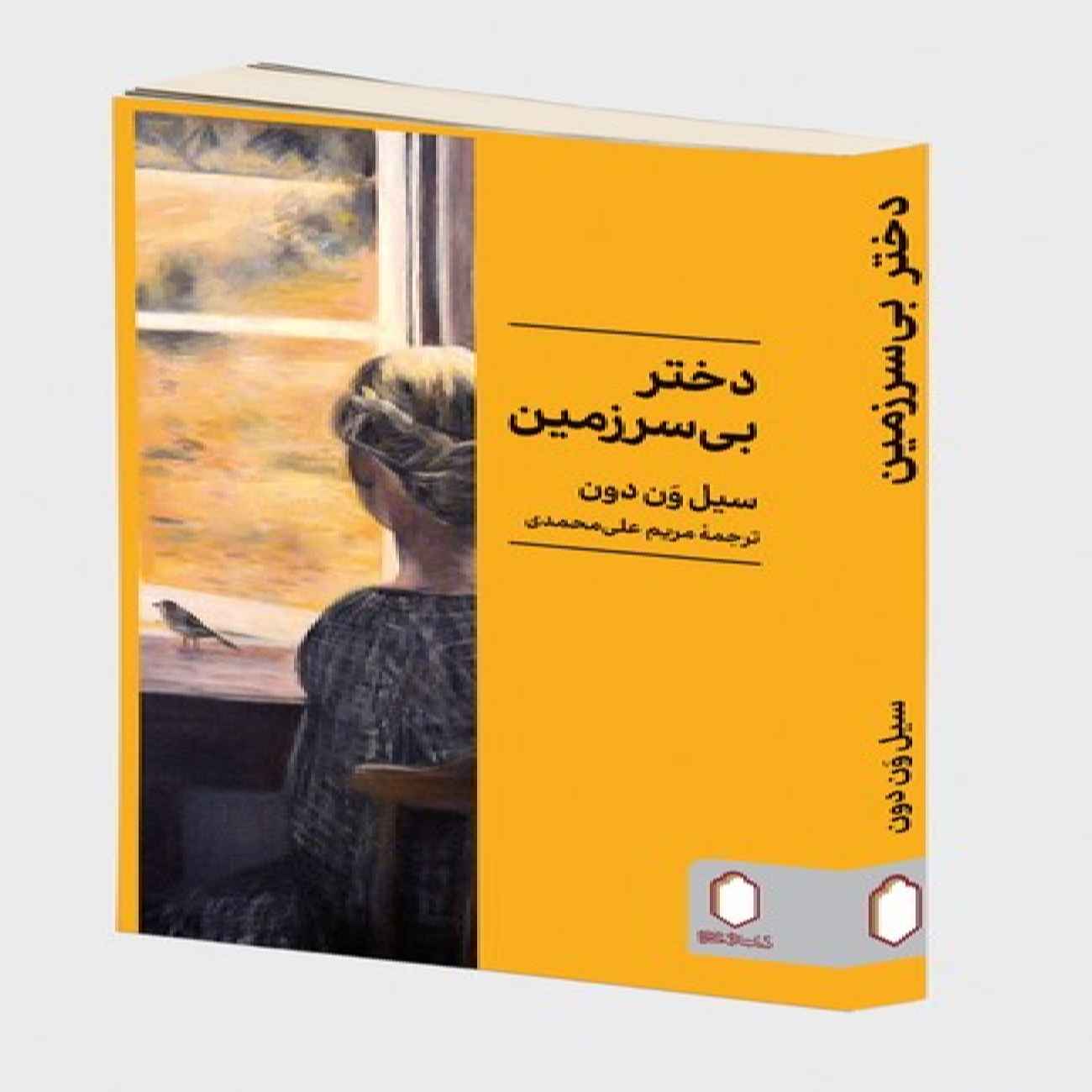 Girl Out Of Place Book by Sil Van Don (Farsi)
