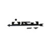 Paykan Car Emblem Set – Easy to Install & Long-Lasting Finish, 2 Pieces (4)